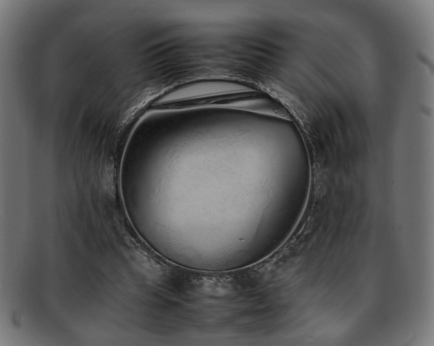 X0000092100345200709121548