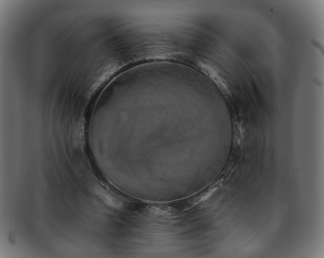 X0000092100346200709121548
