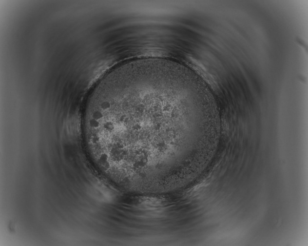 X0000092100347200709121548
