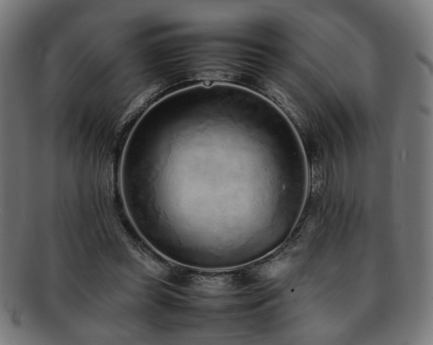 X0000092100349200709121548