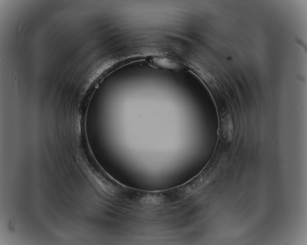 X0000092100350200709121548