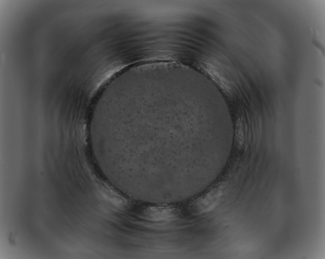 X0000092100351200709121548