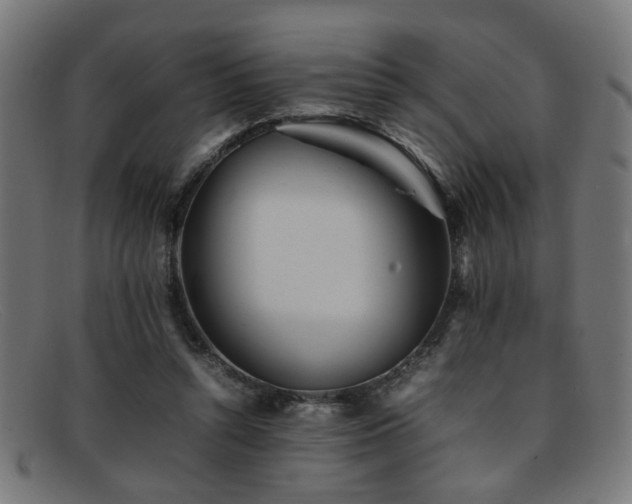 X0000092100352200709121548