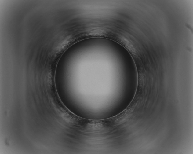 X0000092100354200709121548
