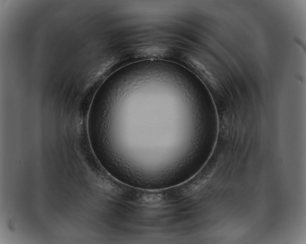 X0000092100355200709121548