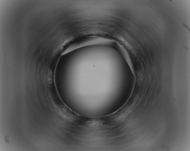 X0000092100356200709121548