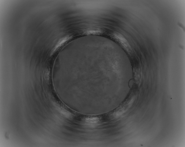 X0000092100357200709121548