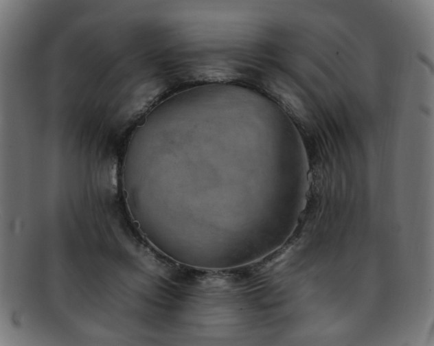 X0000092100358200709121548
