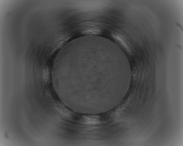 X0000092100359200709121548