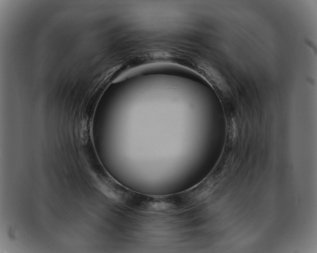 X0000092100360200709121548