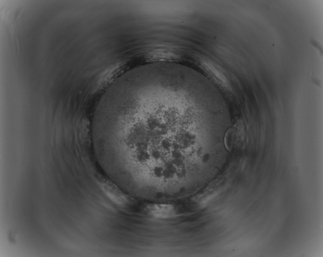 X0000092100361200709121548