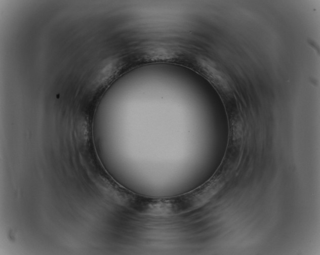 X0000092100362200709121548