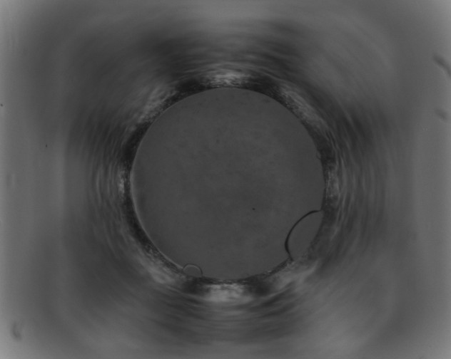 X0000092100363200709121548