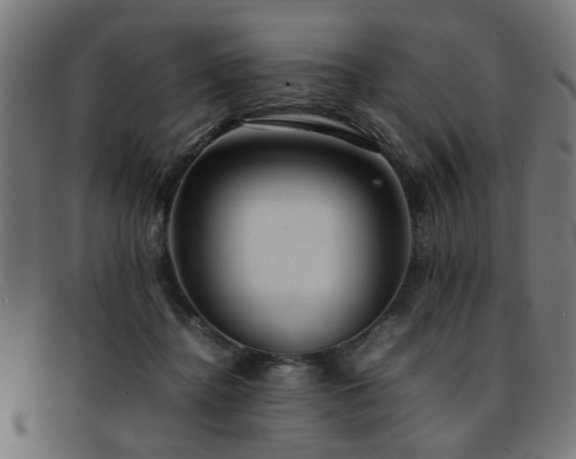 X0000092100364200709121548