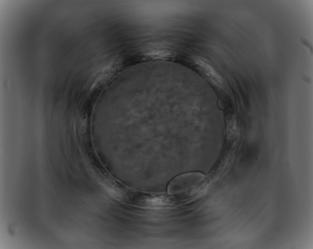 X0000092100365200709121548