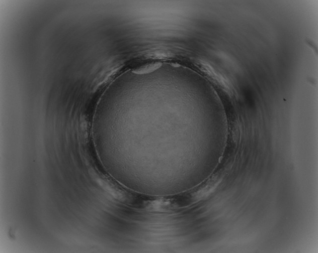 X0000092100366200709121548