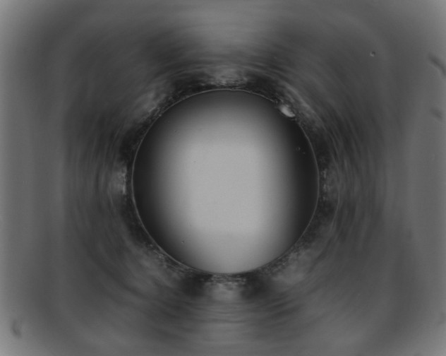 X0000092100368200709121548