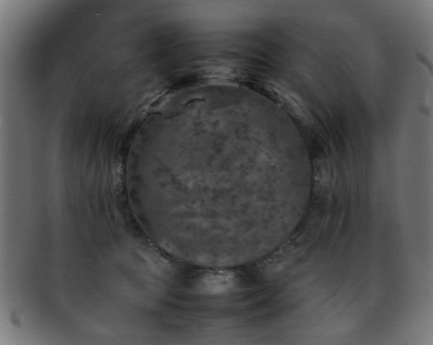 X0000092100369200709121548