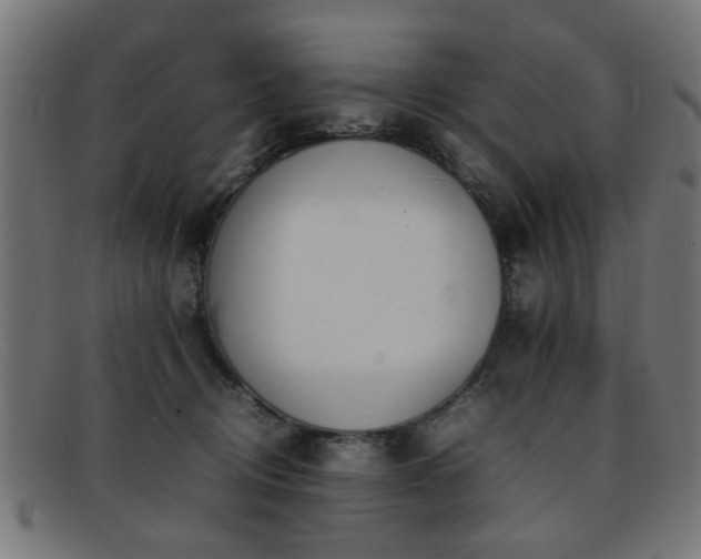 X0000092100370200709121549