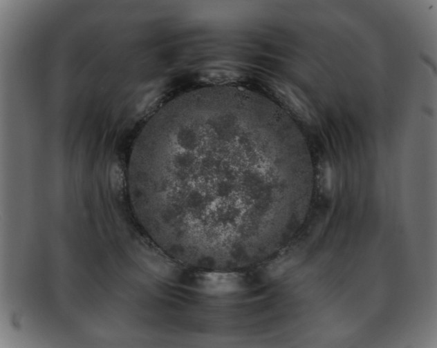 X0000092100371200709121549