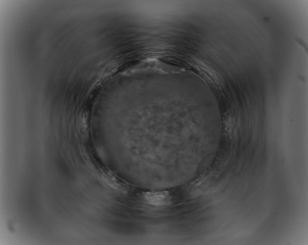 X0000092100373200709121549