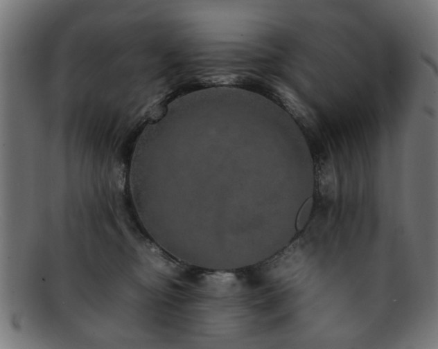 X0000092100374200709121549