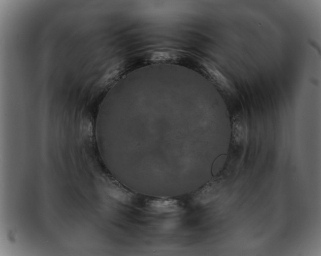 X0000092100375200709121549