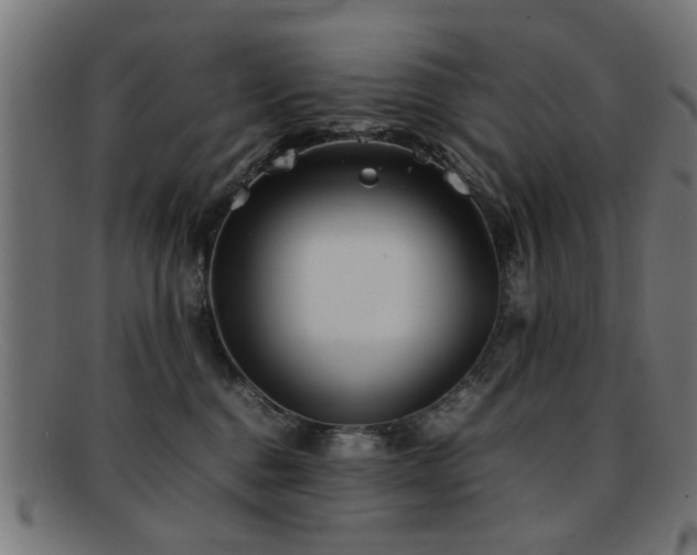 X0000092100376200709121549