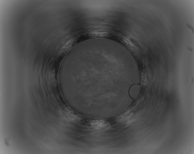 X0000092100377200709121549