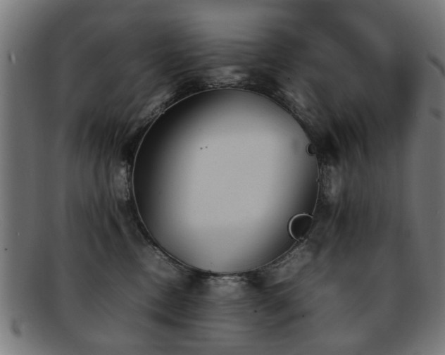 X0000092100378200709121549