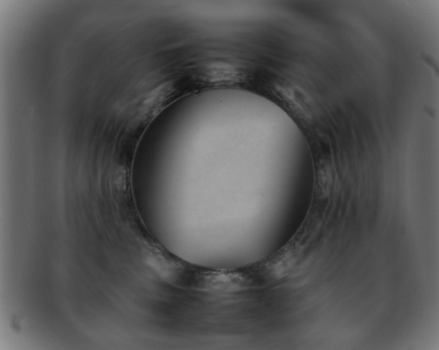 X0000092100379200709121549