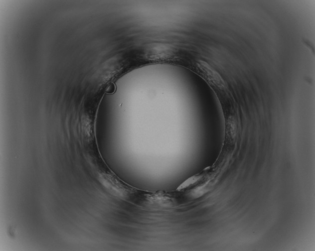 X0000092100380200709121549