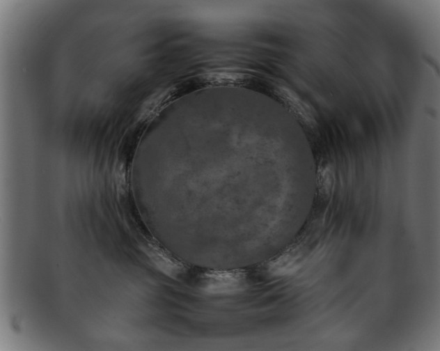 X0000092100381200709121549