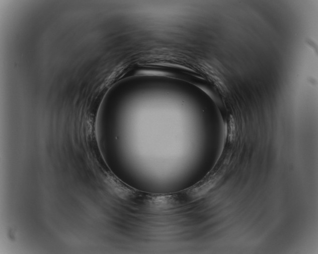 X0000092100382200709121549