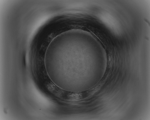 X0000092100383200709121549