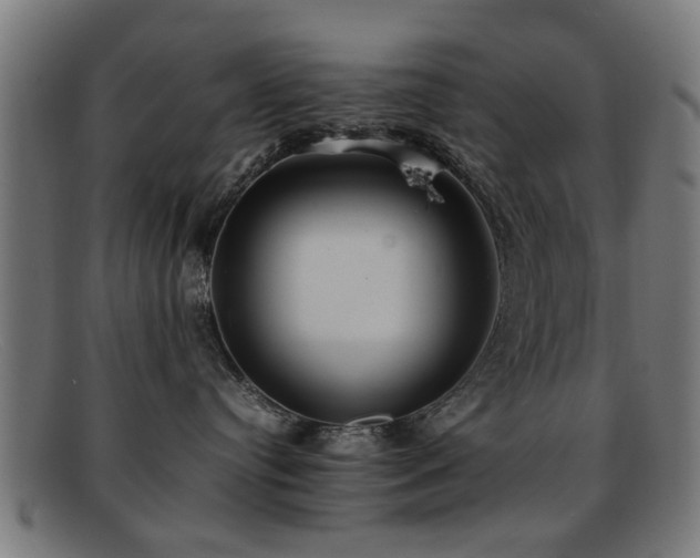 X0000092100384200709121549