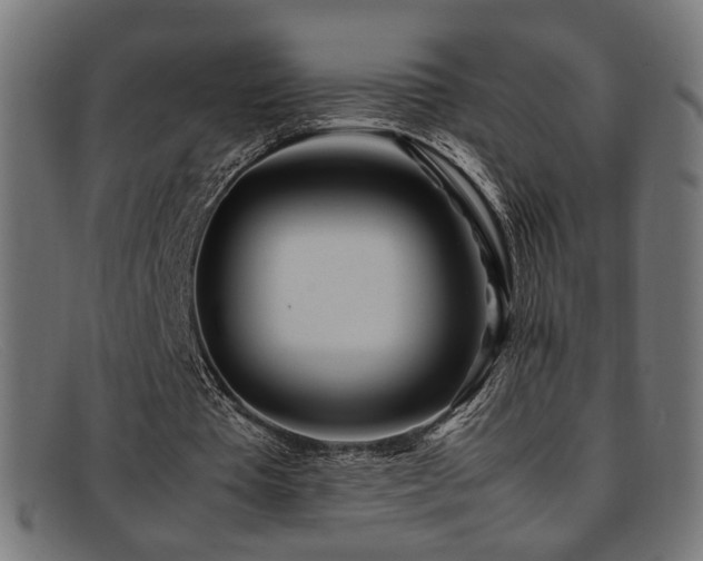 X0000092100385200709121548