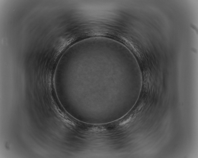 X0000092100386200709121548