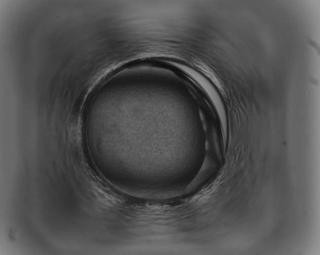 X0000092100387200709121548
