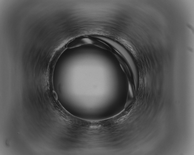 X0000092100388200709121548
