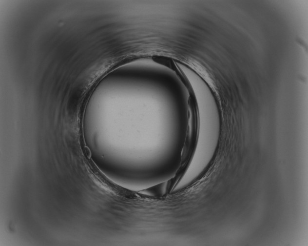 X0000092100389200709121548