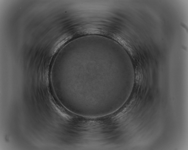 X0000092100390200709121548
