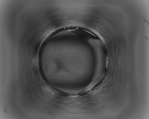 X0000092100391200709121548