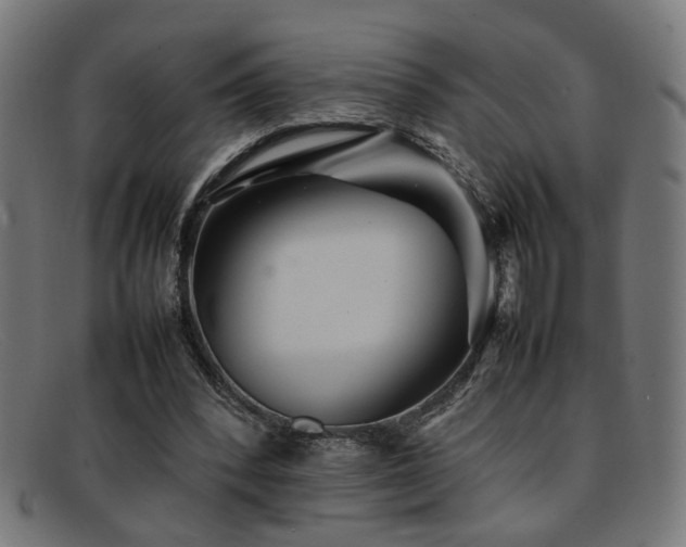 X0000092100392200709121548