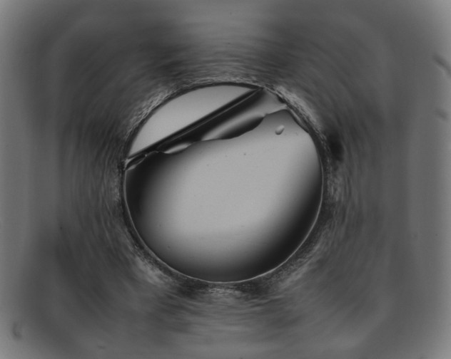 X0000092100393200709121548