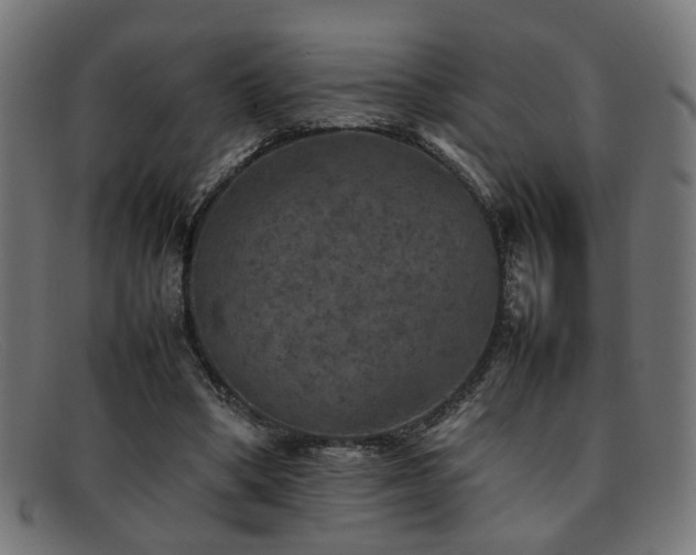 X0000092100394200709121548
