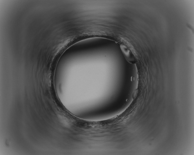 X0000092100395200709121548