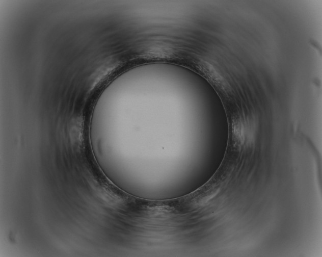 X0000092100396200709121548