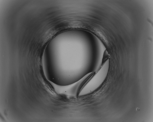 X0000092100397200709121548