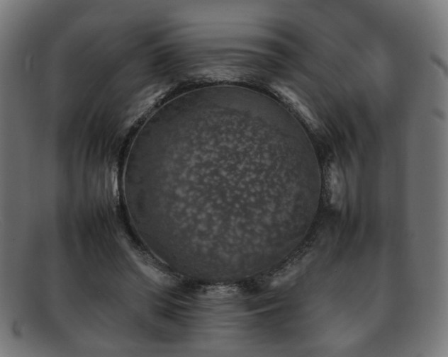 X0000092100398200709121548